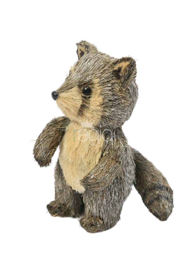 Mapache parado