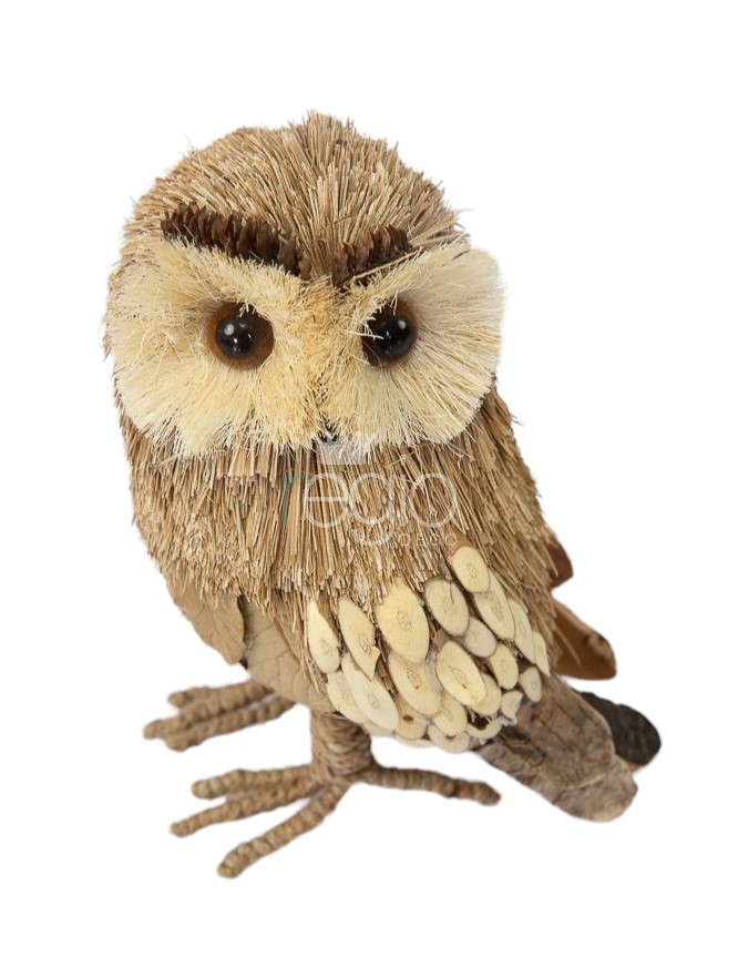 Búho
